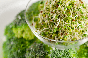 Broccoli Sprouts In A Bowl 1